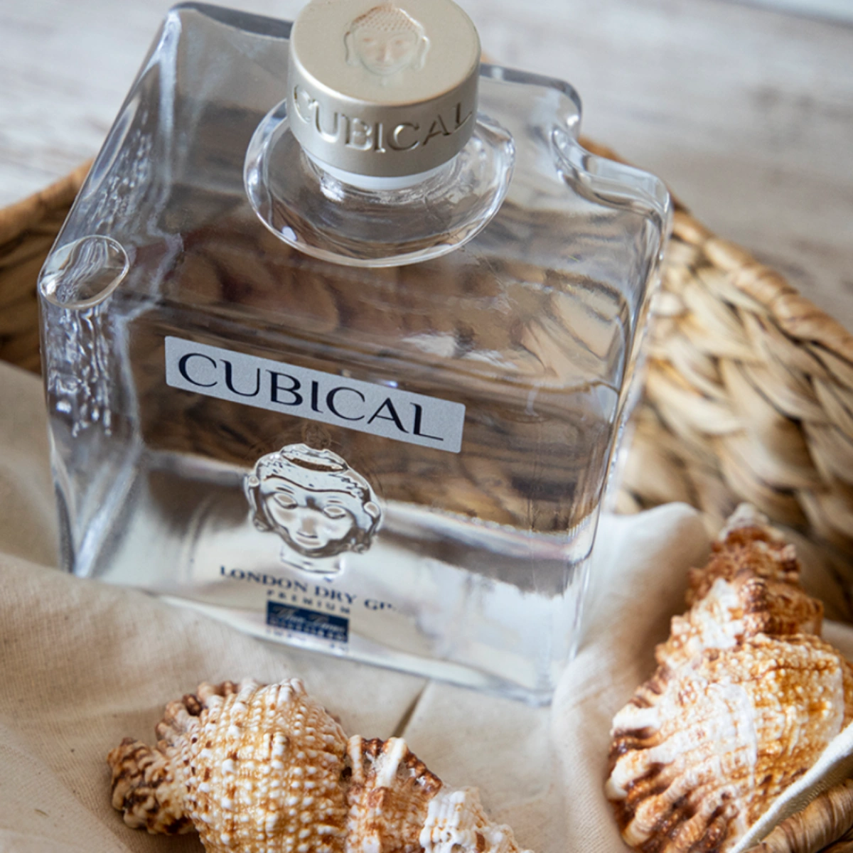 Diferencias gin, ginebra y dry gin | Guía 4 square image 42, Bodegas Williams & Humbert