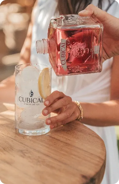 Master Cocktail 25 GIN CUBICAL, Bodegas Williams & Humbert