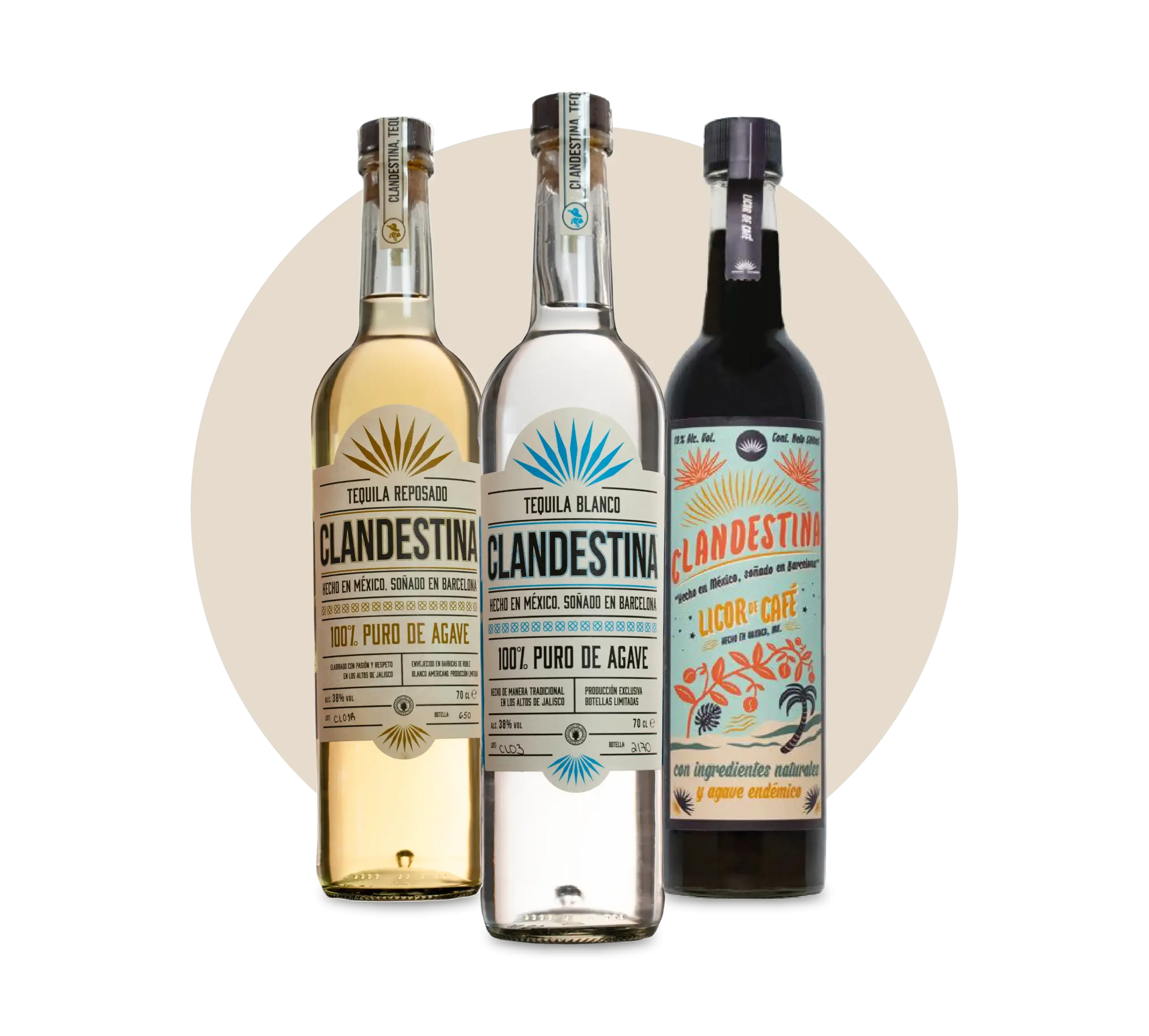 Clandestina 2 CLANDESTINA WEB 11zon scaled, Bodegas Williams & Humbert