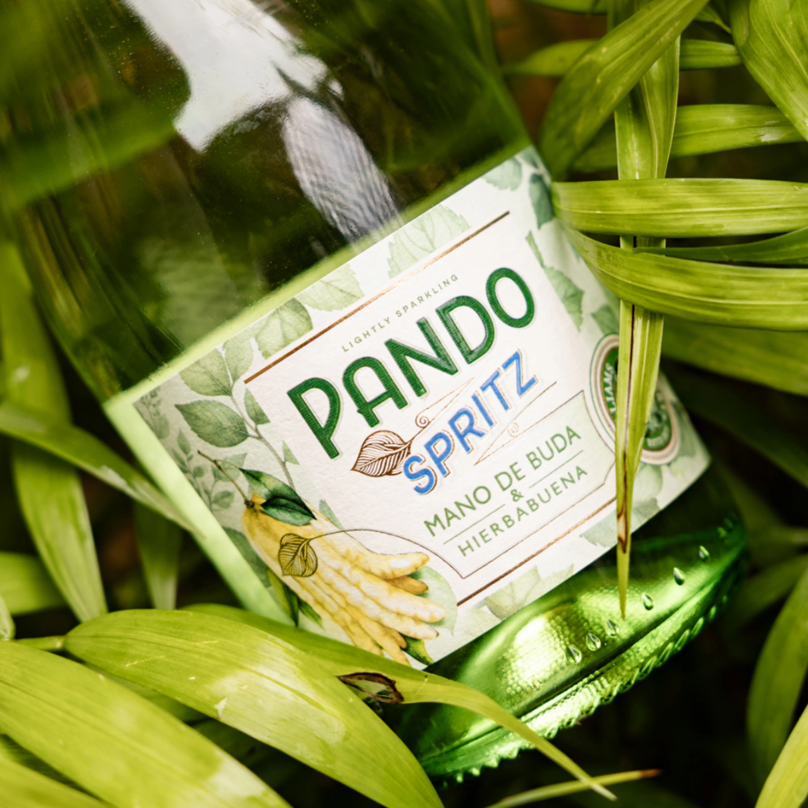 Pando Spritz 2 Pando Spritz - Imagen 2