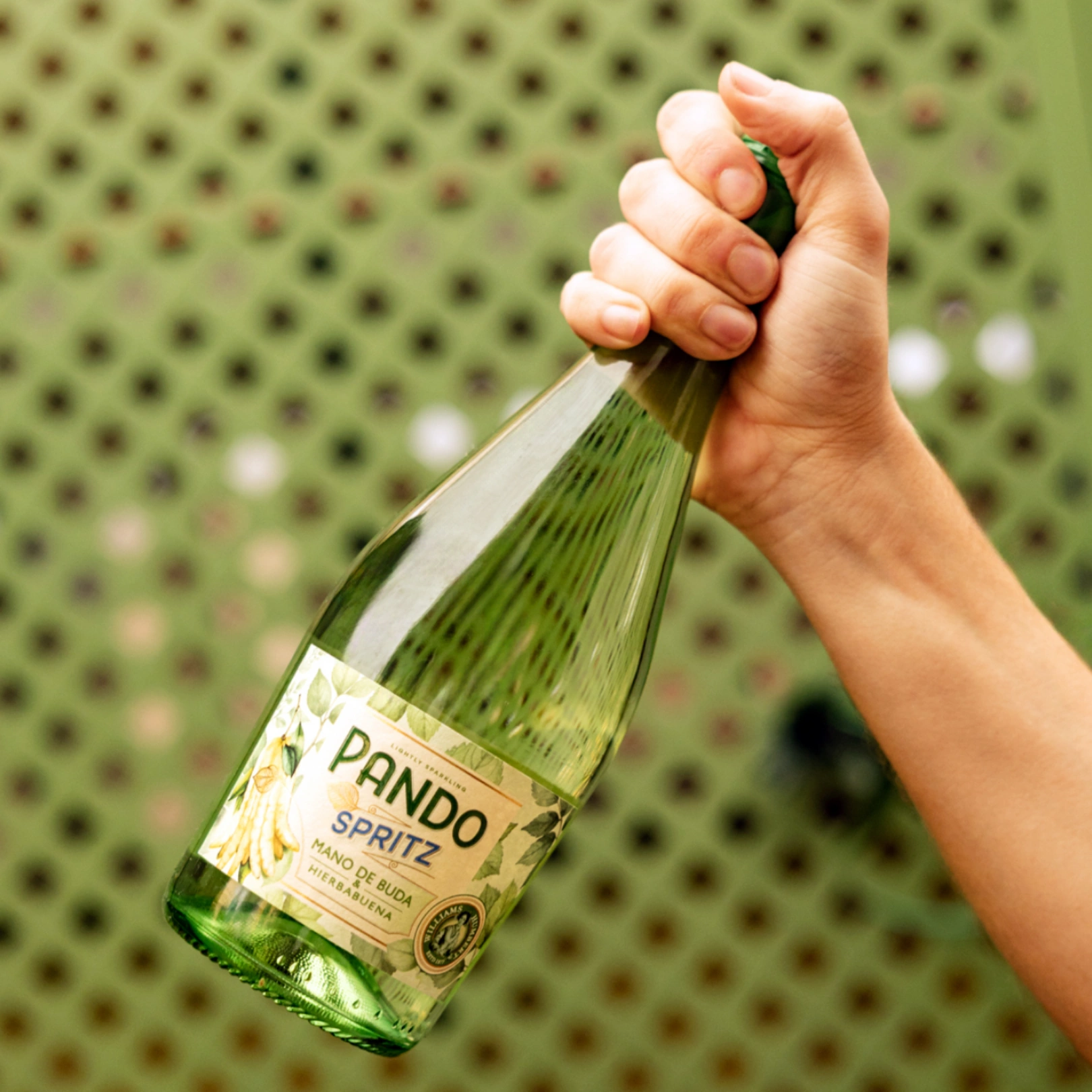 Pando Spritz 4 Pando Spritz - Imagen 4