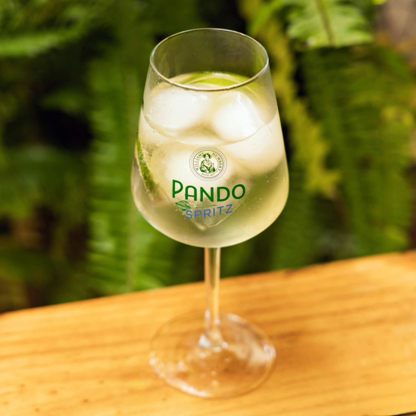 Pando Spritz 3 Pando Spritz - Imagen 3